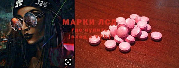 индика Бронницы