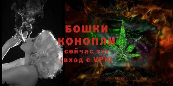 MESCALINE Бородино