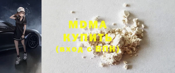 индика Бронницы