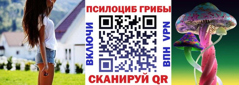 дарнет шоп Дальнегорск blacksprut как войти Галлюциногенные грибы мицелий